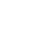 دانشگاه علامه